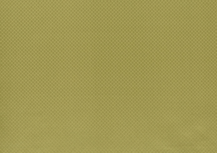 Charleston, Olive - Fabric Only - Image 3